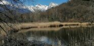 Lac de ville