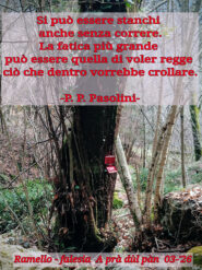 Elemosine rubate.
