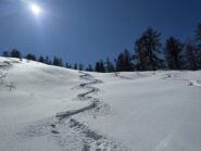 Prima discesa