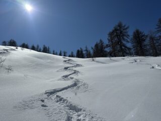 Prima discesa