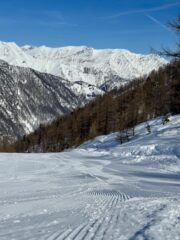 Pista “Oro”