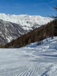 Pista “Oro”