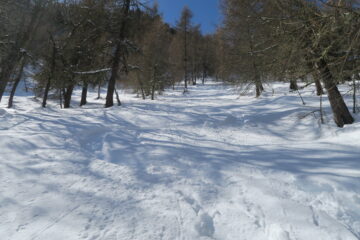 ma tenuto conto della neve che c'era non mi sono rammaricato troppo