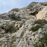Gechi di Maremma - L1