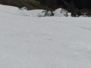 Alpeggi Dra sup.