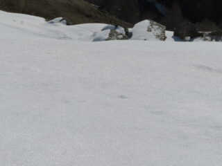 Alpeggi Dra sup.