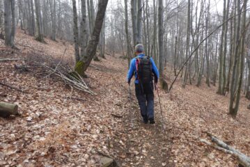 Salendo al Pilone del Merlo