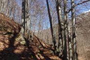 La vecchia mulattiera del vallone d'Ovarda