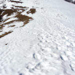 Il Sasso Bianco 