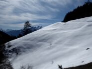 Pendii intonsi poco prima dell'Alpe Brunier.