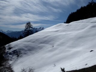Pendii intonsi poco prima dell'Alpe Brunier.
