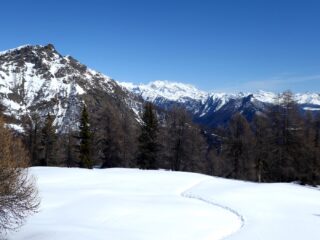 Uscendo dal bosco, quasi in cima.
