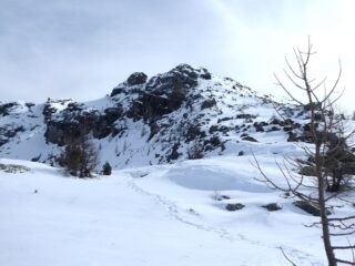 Verso Cima Piana da poco sopra il Colle.