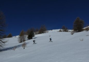 In salita, appena sopra il lariceto
