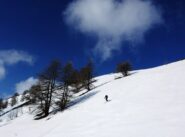 Neve ok anche tra i larici