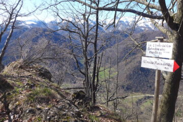 Belvedere Alto