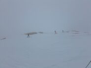 whiteout