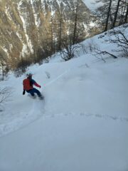 verso la boschina