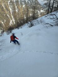 verso la boschina