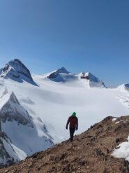 Cima pelata della punta dei camosci e vista sul maestoso blinnenhorn