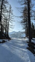 Salendo all'Alpe Leretta