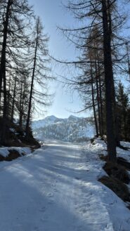 Salendo all'Alpe Leretta