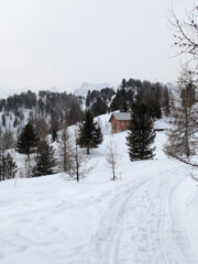 arrivo al Mautino