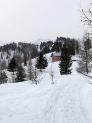 arrivo al Mautino