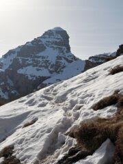 Sul sentiero delle creste