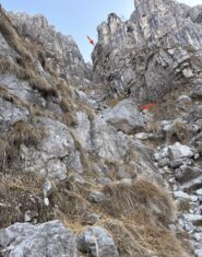 Vi segnalo i 2 riferimenti per essere sicuri di essere nel canale corretto!