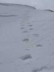 Uscita verso la cima, si noti in alto l'accumulo di neve da superare