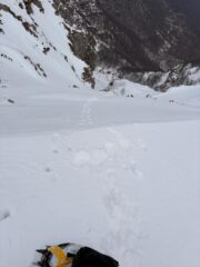 Foto scattata dalla sella del Comera