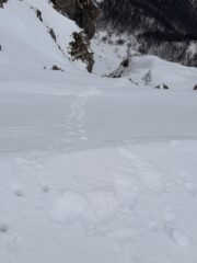 Va che bella la mia traccia!