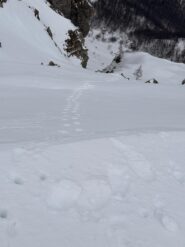 Va che bella la mia traccia!