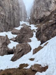 inizia la neve, molto selvaggio