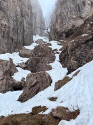 inizia la neve, molto selvaggio