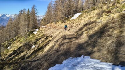 Tratto di sentiero senza neve