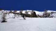 Bella neve anche tra i larici