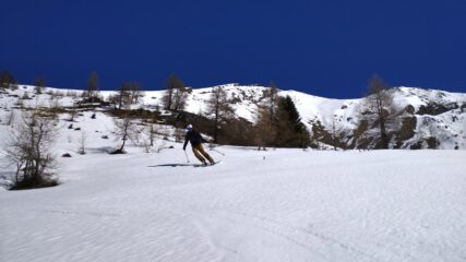 Bella neve anche tra i larici