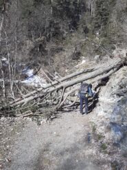 Qualche ostacolo.