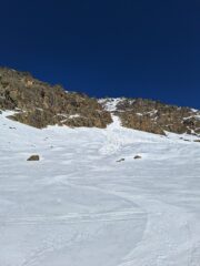 Dalla conoide