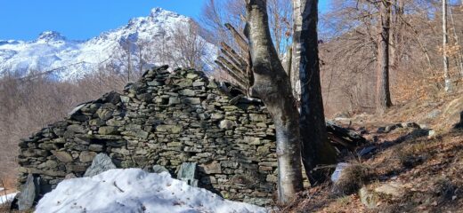 Alpe Picot