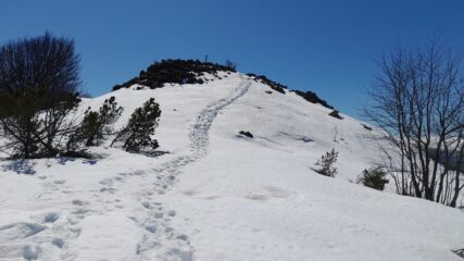 Mt. Arpone