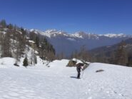 Usciti dal bosco.