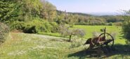 Verso Casole d'Elsa