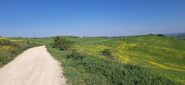 Nei suggestivi scenari della val d'Orcia