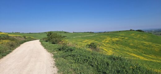 Nei suggestivi scenari della val d'Orcia