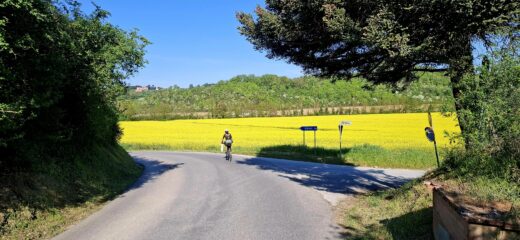 Ritorno verso Siena