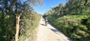 Settore strade Bianche Pogacar, per noi ultimo sterrato prima di Siena