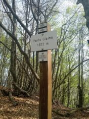 la boschiva  cima  della P.Giaime